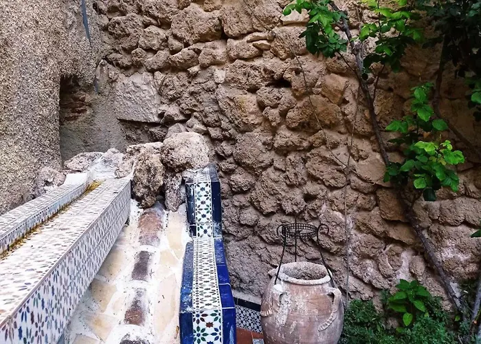 Los Canos De La Casa Viva