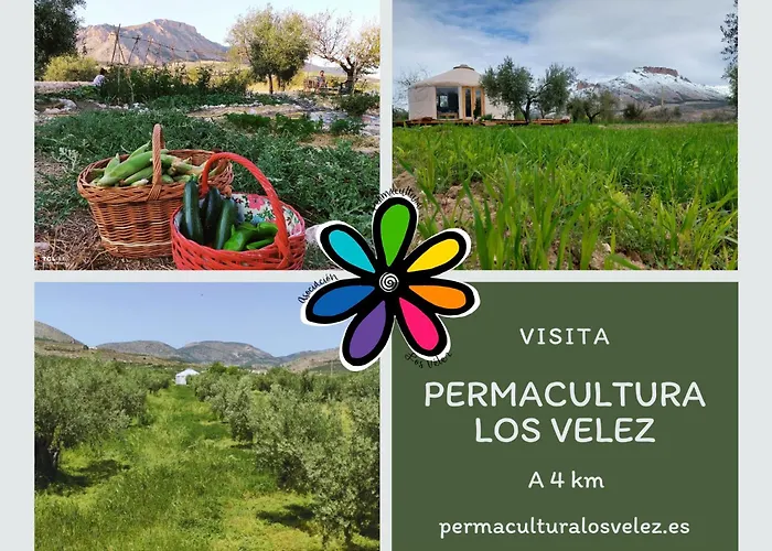 Los Canos De La Casa Viva